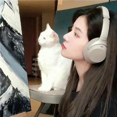 十全主妇
